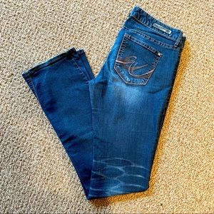 Express Zelda Slimfit low rise Jeans